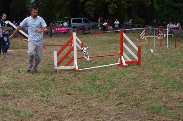 foire-haricots 2011-09-17et18